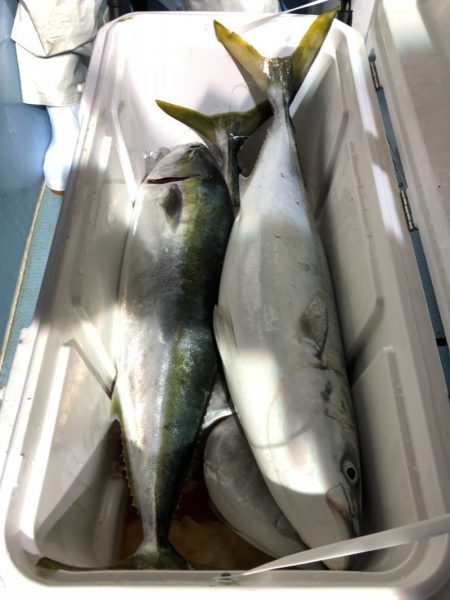 第二八坂丸 釣果