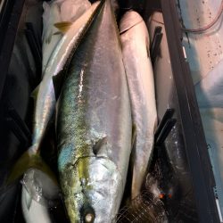 第二八坂丸 釣果