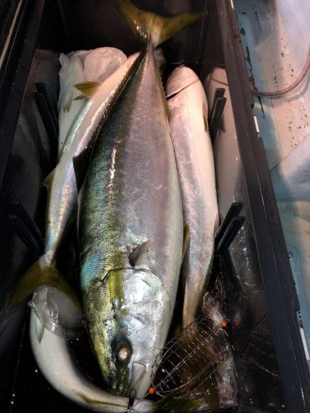 第二八坂丸 釣果