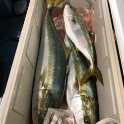 第二八坂丸 釣果