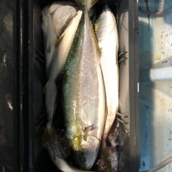 第二八坂丸 釣果