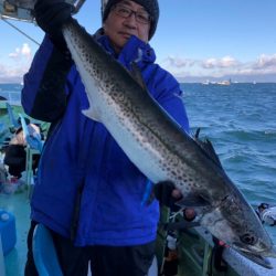 ヤザワ渡船 釣果