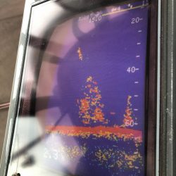 あみや渡船 JIGBOY 釣果