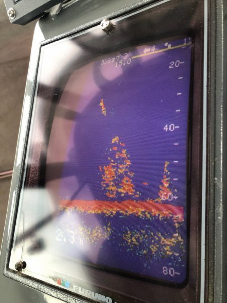 あみや渡船 JIGBOY 釣果