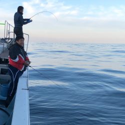 あみや渡船 JIGBOY 釣果