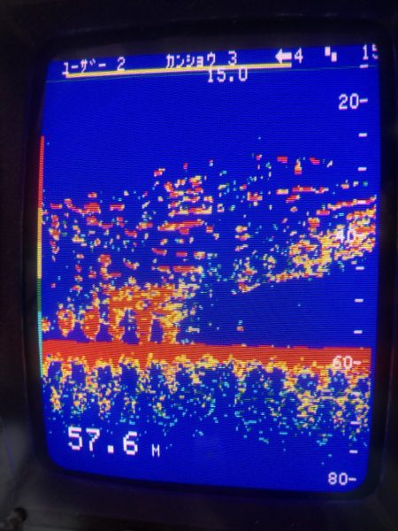 あみや渡船 JIGBOY 釣果