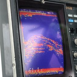 あみや渡船 JIGBOY 釣果