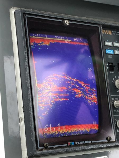 あみや渡船 JIGBOY 釣果