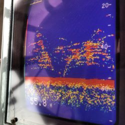 あみや渡船 JIGBOY 釣果