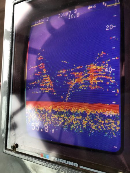 あみや渡船 JIGBOY 釣果