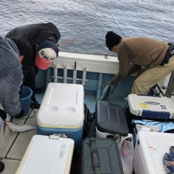 あみや渡船 JIGBOY 釣果