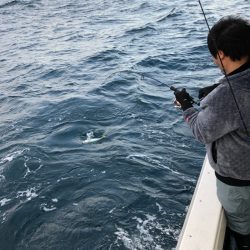 あみや渡船 JIGBOY 釣果