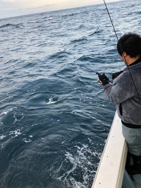 あみや渡船 JIGBOY 釣果