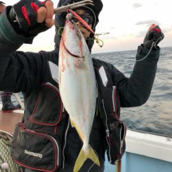 あみや渡船 JIGBOY 釣果