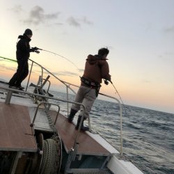 あみや渡船 JIGBOY 釣果