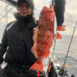 ＴＡＲＯＭＡＲＵ 釣果