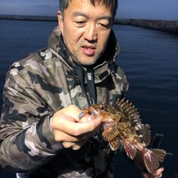 ヤザワ渡船 釣果