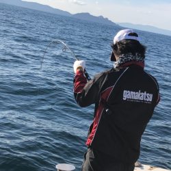 あみや渡船 JIGBOY 釣果