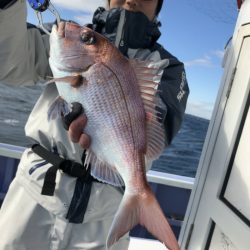 新幸丸 釣果