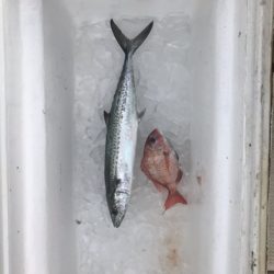 Monster Rush! 釣果