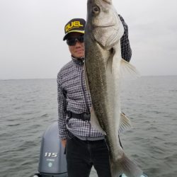 アマテラス 釣果