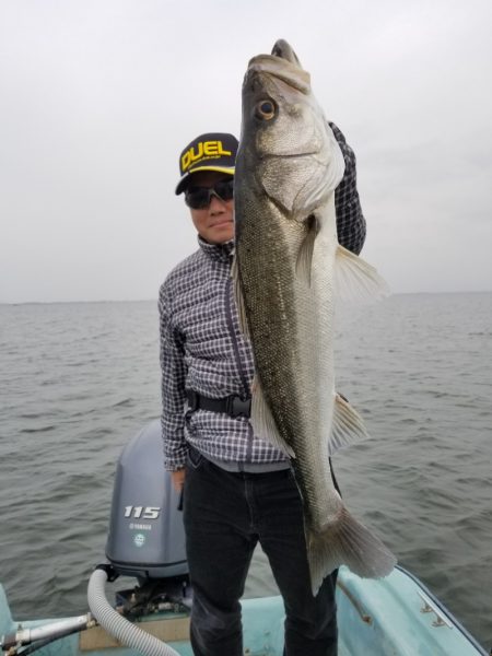 アマテラス 釣果