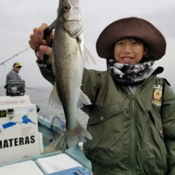 アマテラス 釣果