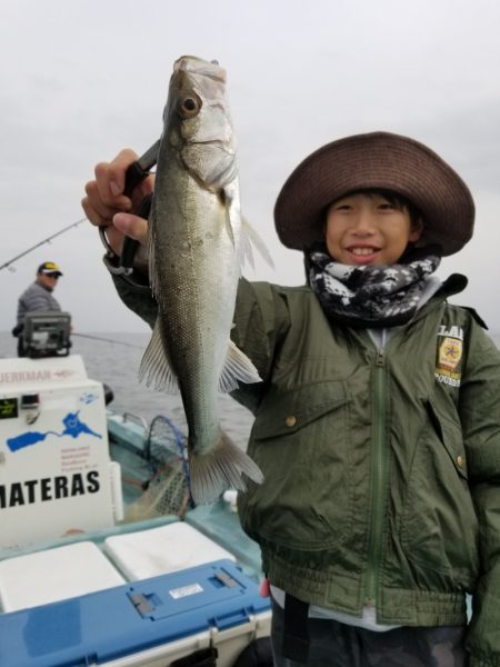 アマテラス 釣果