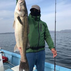 アマテラス 釣果