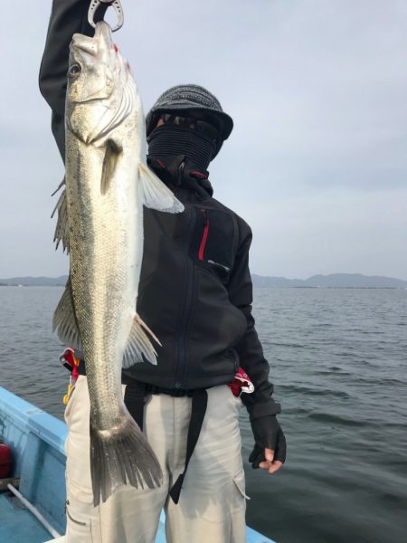 アマテラス 釣果