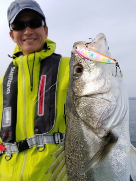 アマテラス 釣果