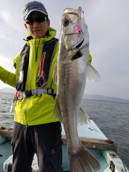 アマテラス 釣果