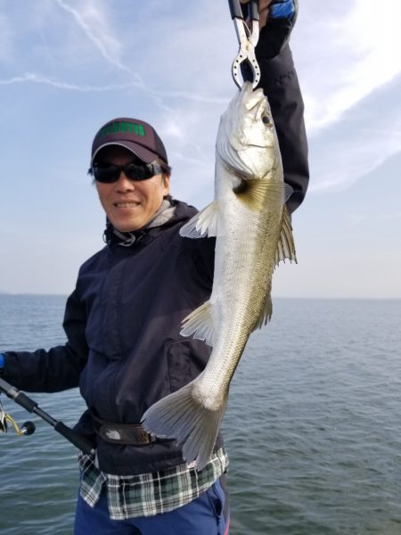 アマテラス 釣果