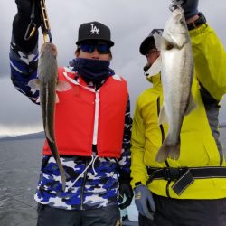 アマテラス 釣果