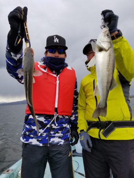 アマテラス 釣果