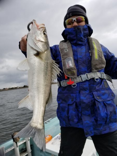 アマテラス 釣果