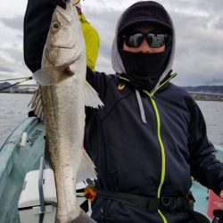 アマテラス 釣果