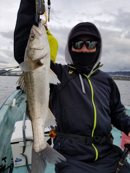 アマテラス 釣果