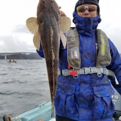 アマテラス 釣果