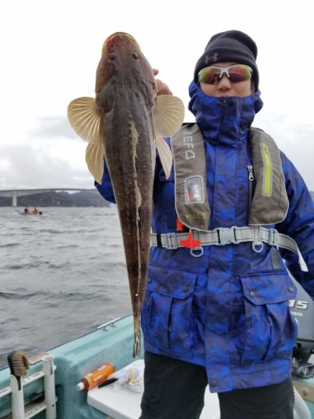 アマテラス 釣果