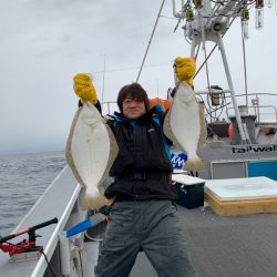 シーランチ 釣果