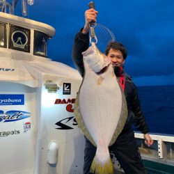 シーランチ 釣果