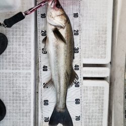 海龍丸（島根） 釣果