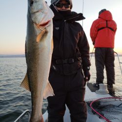 海龍丸（島根） 釣果
