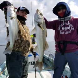 アマテラス 釣果