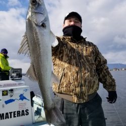 アマテラス 釣果