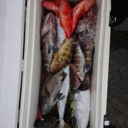 エンペラー 釣果