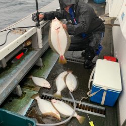 シーランチ 釣果