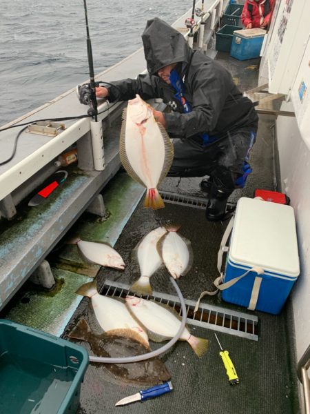 シーランチ 釣果