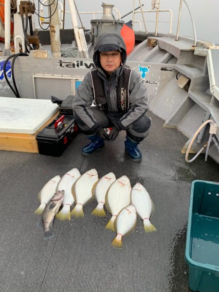 シーランチ 釣果